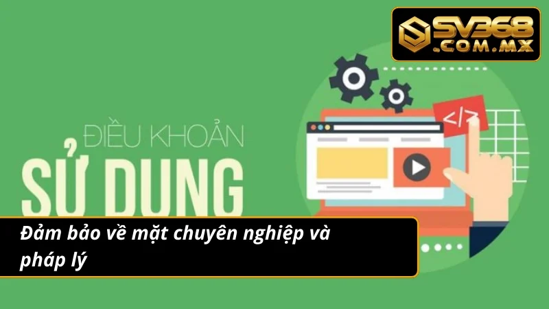 Điều khoản và điều kiện về tính chuyên nghiệp và pháp lý
